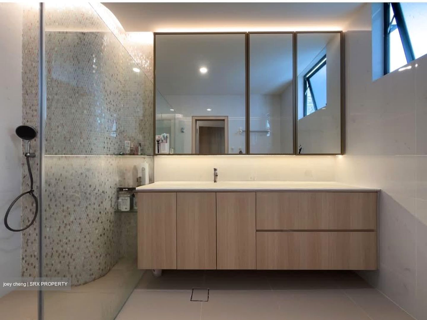 The Summit (D16), Condominium #537398411
